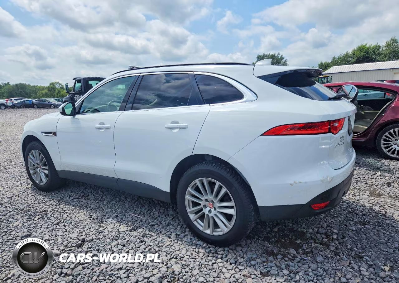2019 Jaguar F-Pace Prestige VIN:SADCK2FX0KA609419 - 2