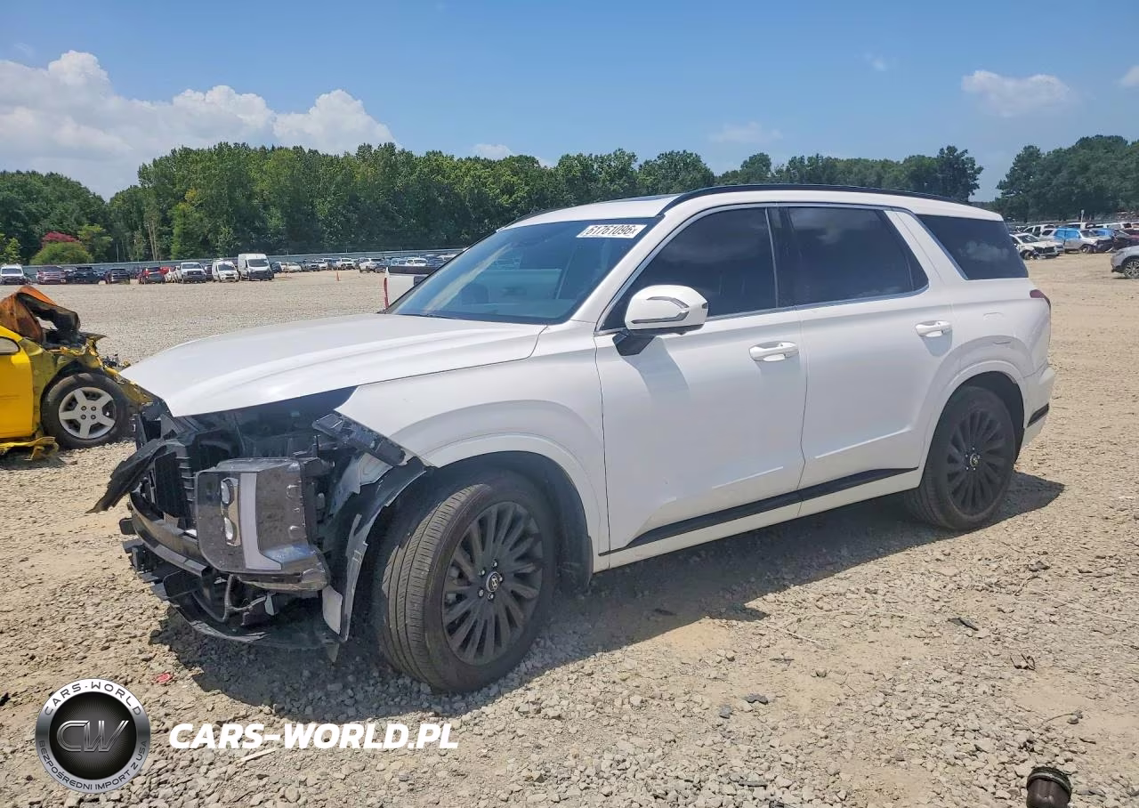 2025 Hyundai Palisade Calligraphy Night Edition VIN:KM8R7DGE7SU880150 - 1