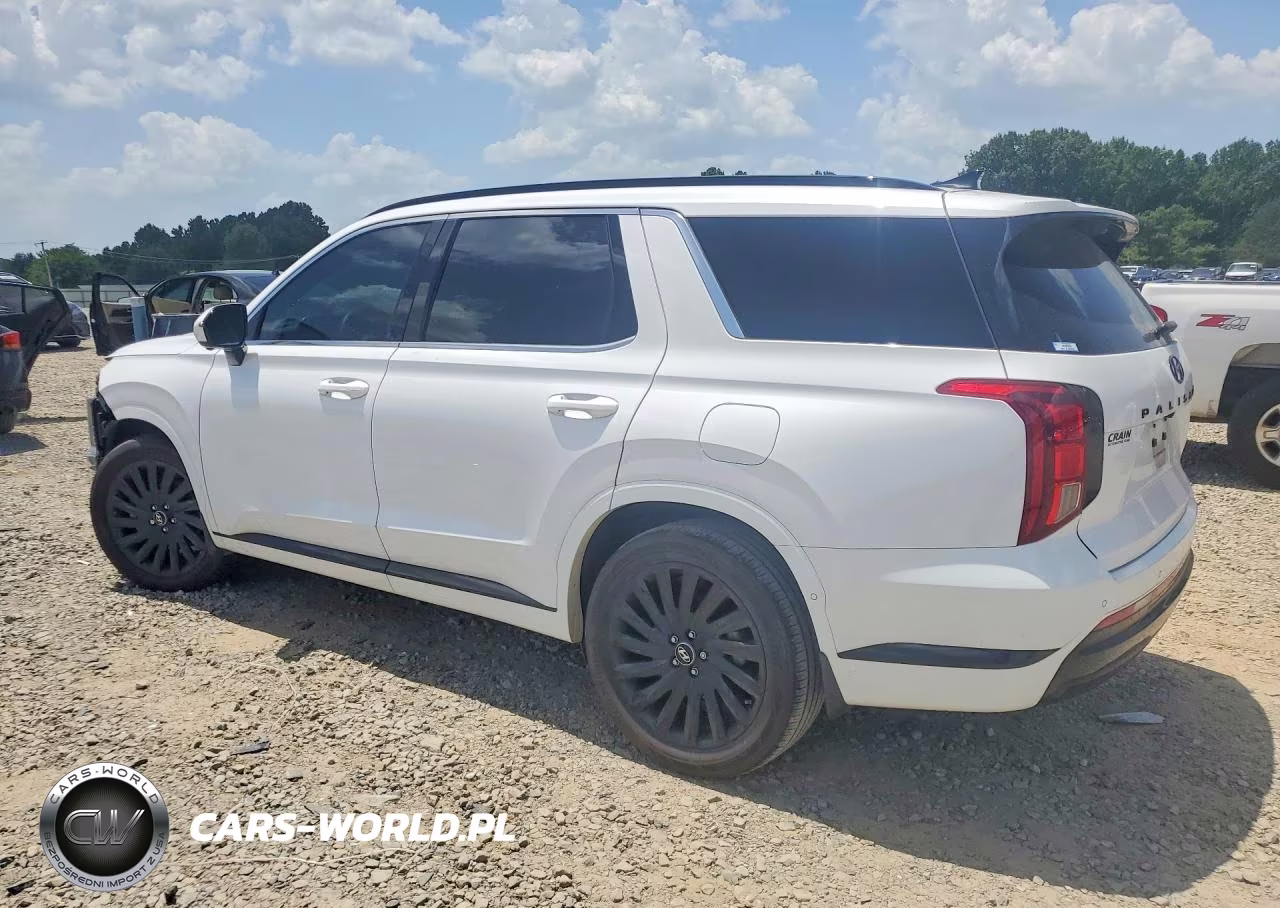 2025 Hyundai Palisade Calligraphy Night Edition VIN:KM8R7DGE7SU880150 - 2