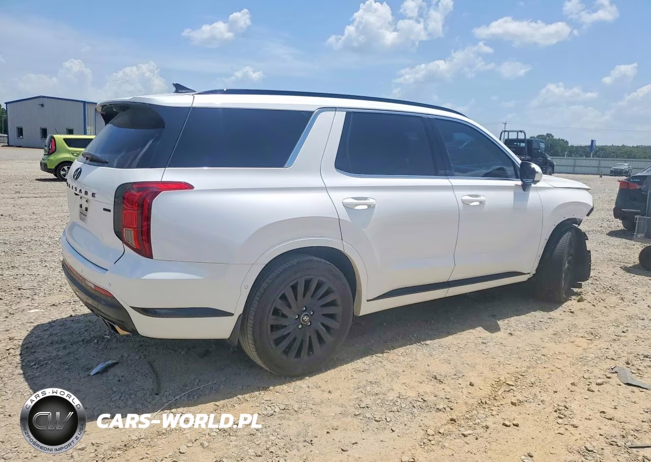 2025 Hyundai Palisade Calligraphy Night Edition VIN:KM8R7DGE7SU880150 - 3