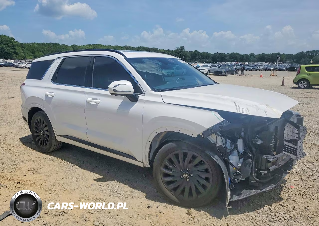 2025 Hyundai Palisade Calligraphy Night Edition VIN:KM8R7DGE7SU880150 - 4