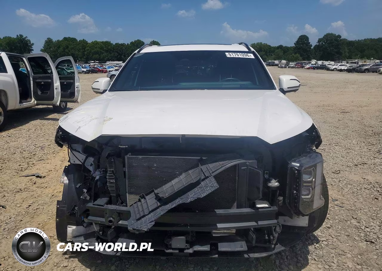 2025 Hyundai Palisade Calligraphy Night Edition VIN:KM8R7DGE7SU880150 - 5