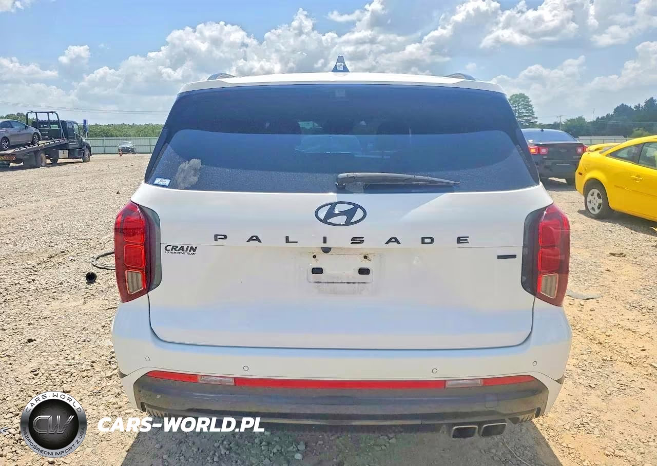 2025 Hyundai Palisade Calligraphy Night Edition VIN:KM8R7DGE7SU880150 - 6