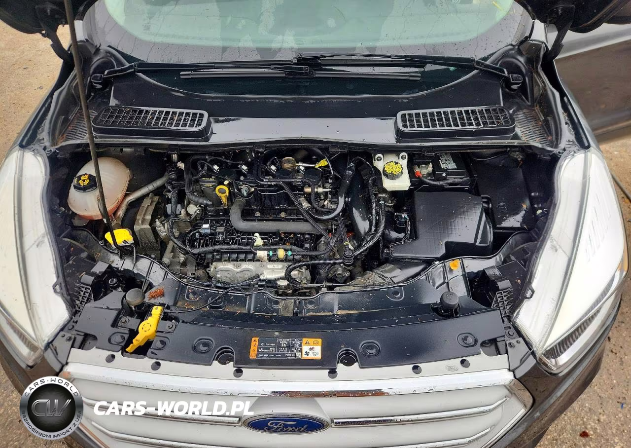 2019 Ford Escape Se VIN:1FMCU9GD6KUB49941 - 11