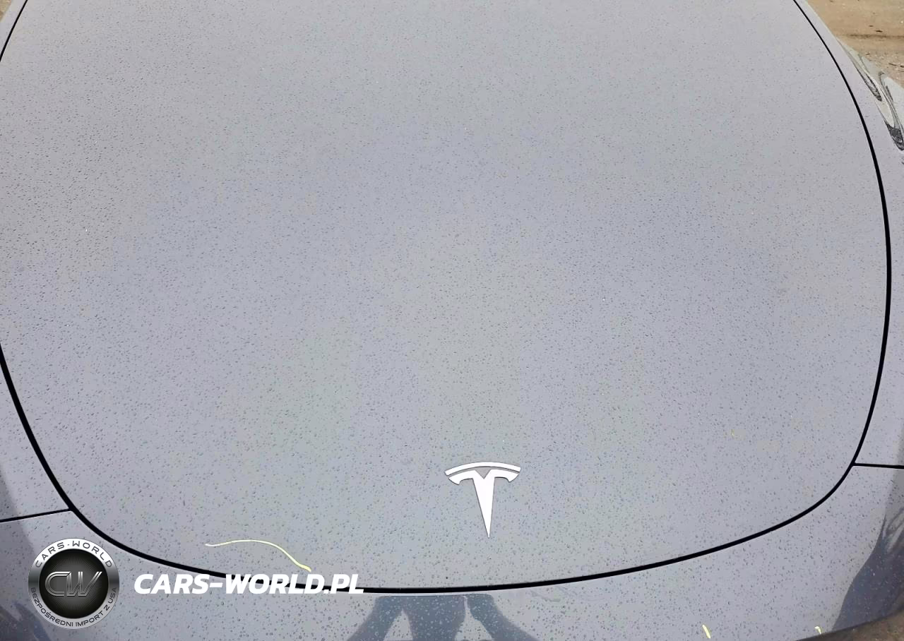 2020 Tesla Model Y VIN:5YJYGDEE2LF043464 - 11