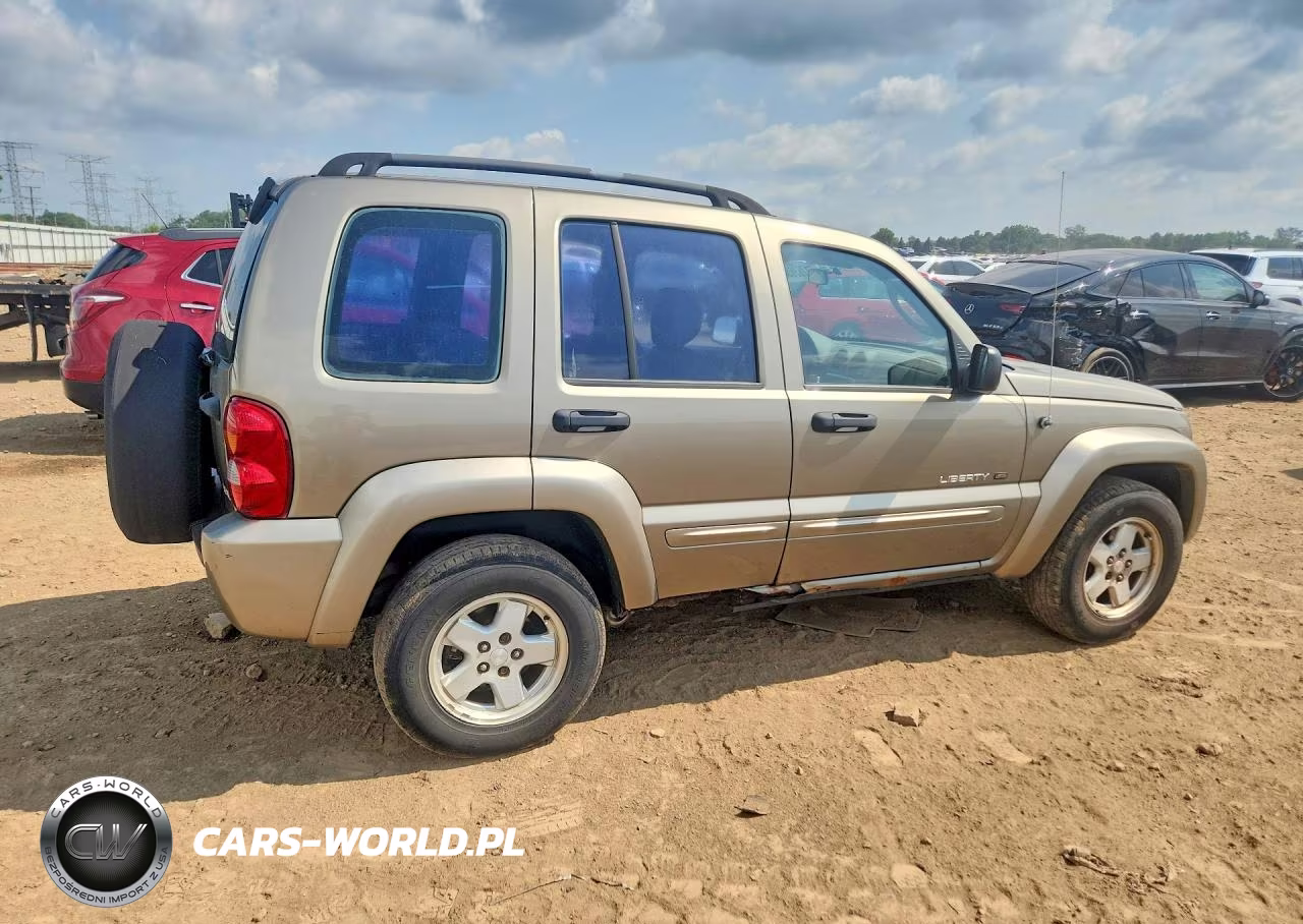 2003 Jeep Liberty Limited VIN:1J4GK58K53W666813 - 3