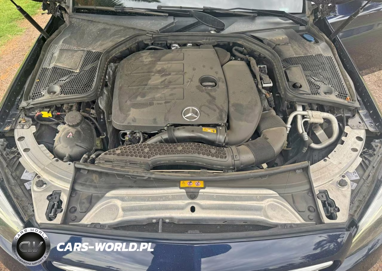 2019 Mercedes-Benz C 300 VIN:WDDWF8DB9KR482992 - 7