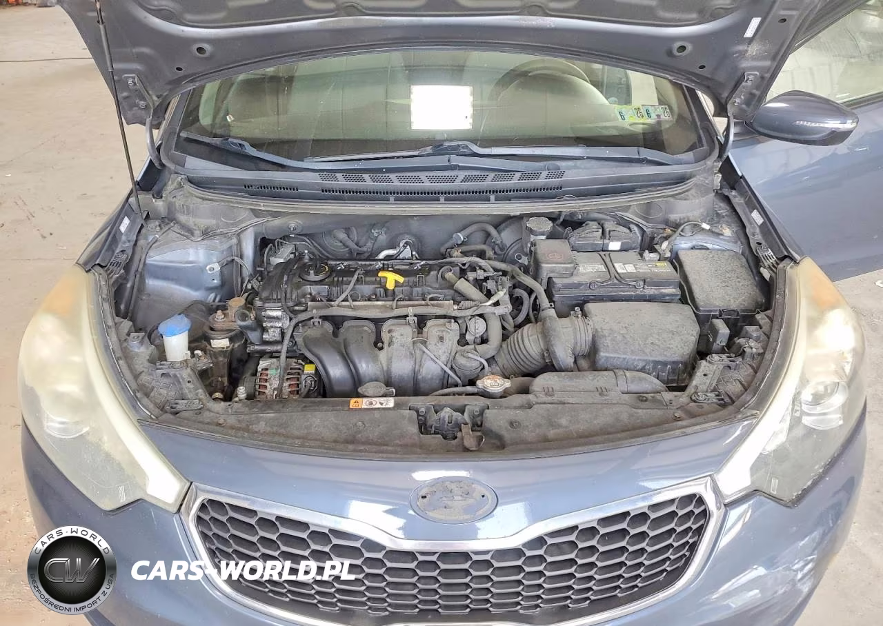 2014 Kia Forte Lx VIN:KNAFX4A61E5147175 - 11
