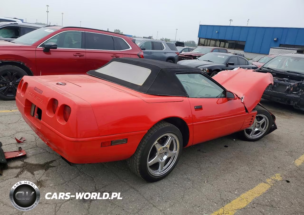 1993 Chevrolet Corvette VIN:1G1YY33P5P5104608 - 3
