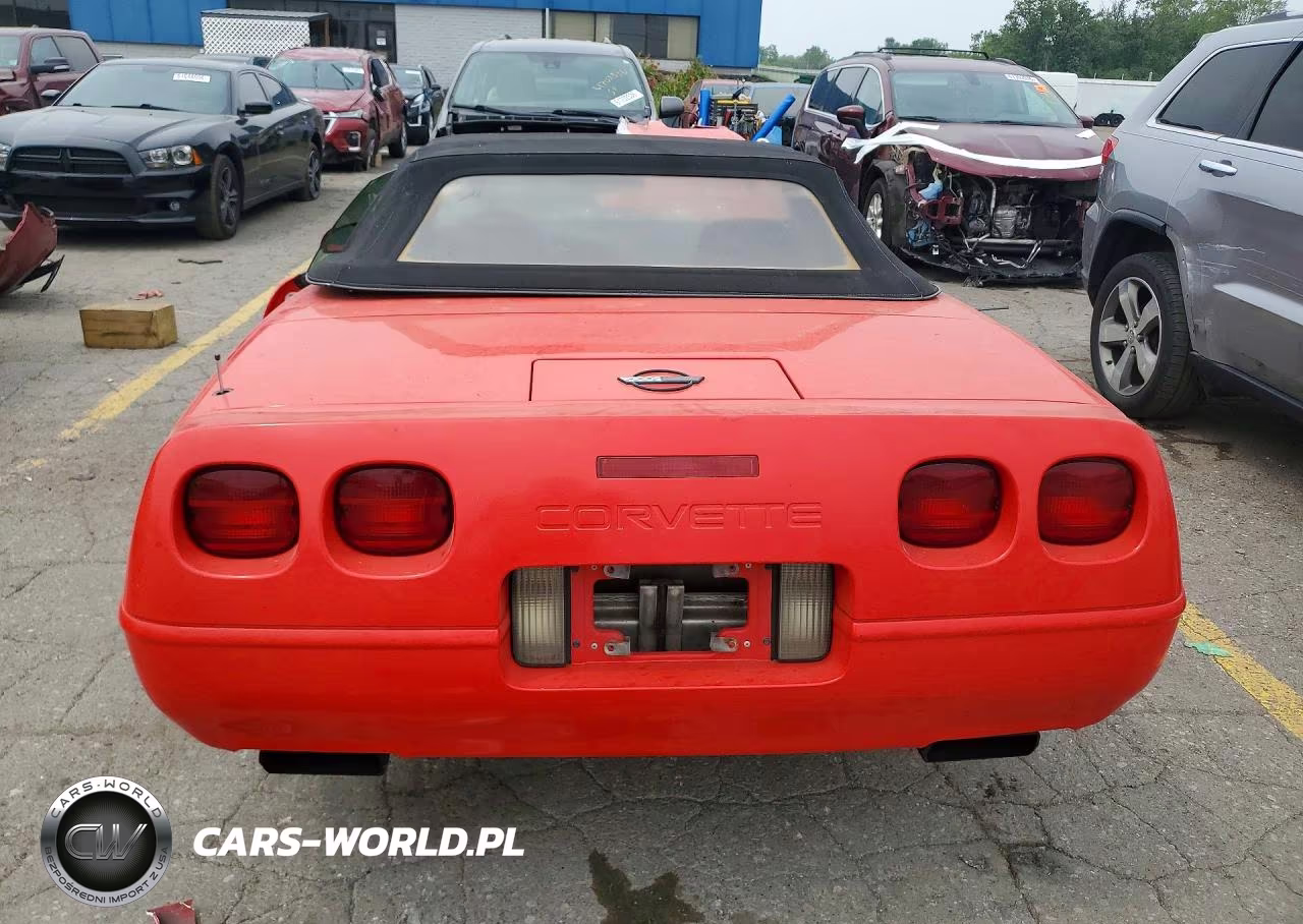 1993 Chevrolet Corvette VIN:1G1YY33P5P5104608 - 6