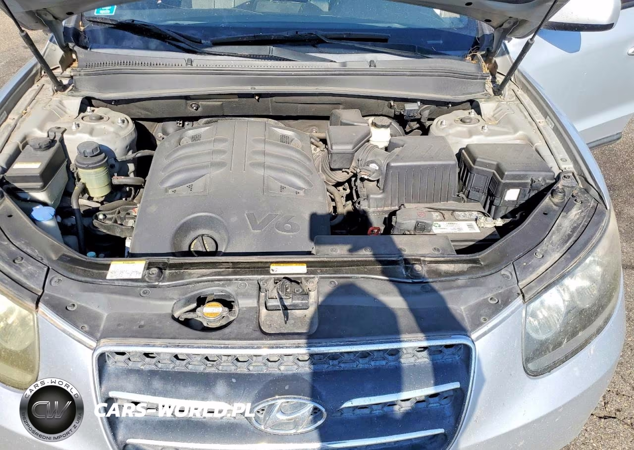 2009 Hyundai Santa Fe Limited VIN:5NMSH73E79H300150 - 11