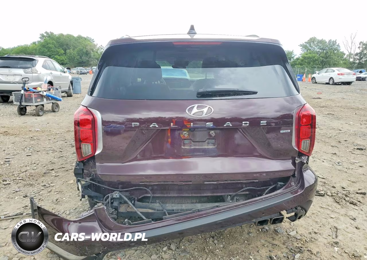 2023 Hyundai Palisade Limited VIN:KM8R5DGE3PU534108 - 6