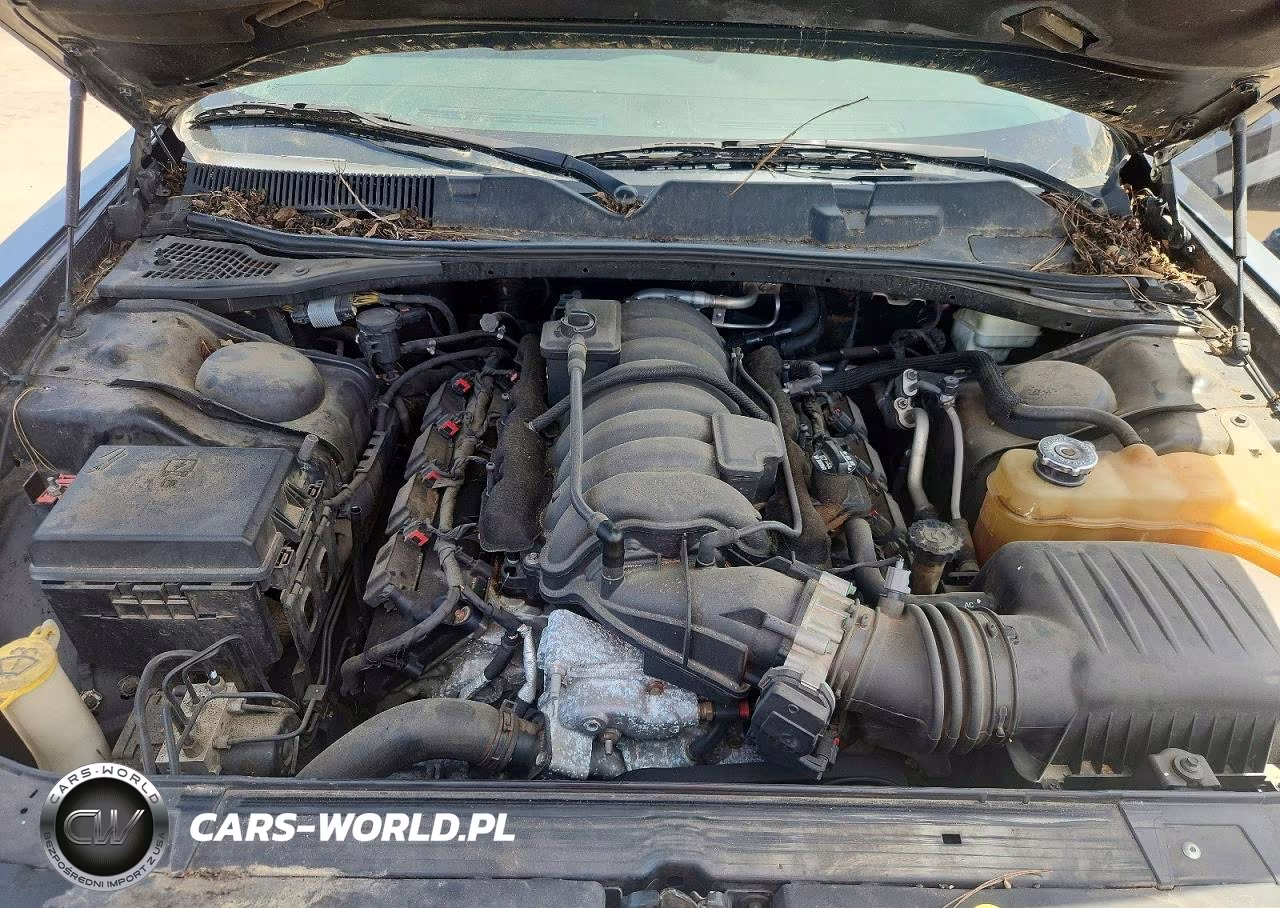 2014 Dodge Challenger Srt-8 VIN:2C3CDYCJ3EH137414 - 11