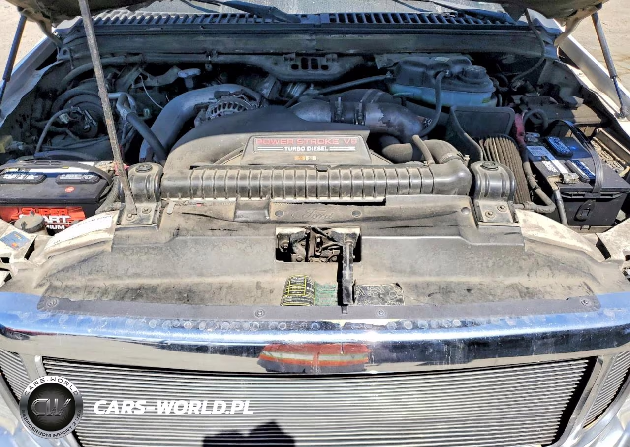 2003 Ford F250 Super Duty VIN:1FTNW21P53ED41929 - 11