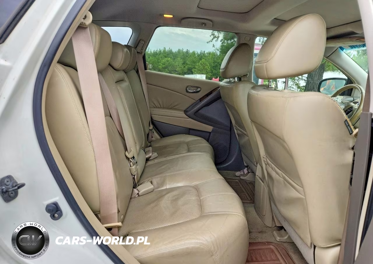 2010 Nissan Murano S VIN:JN8AZ1MW6AW108690 - 10