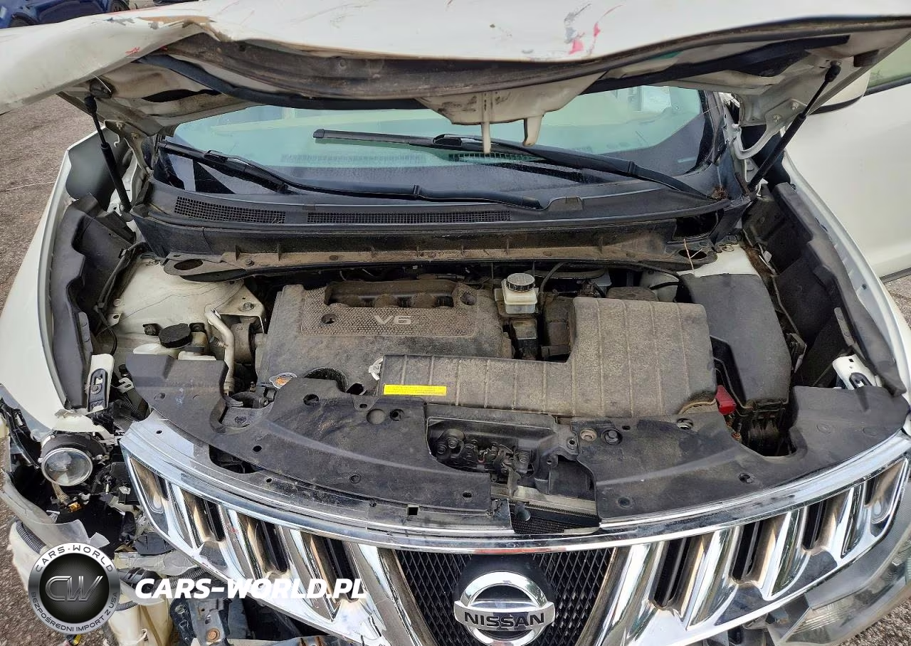 2010 Nissan Murano S VIN:JN8AZ1MW6AW108690 - 11