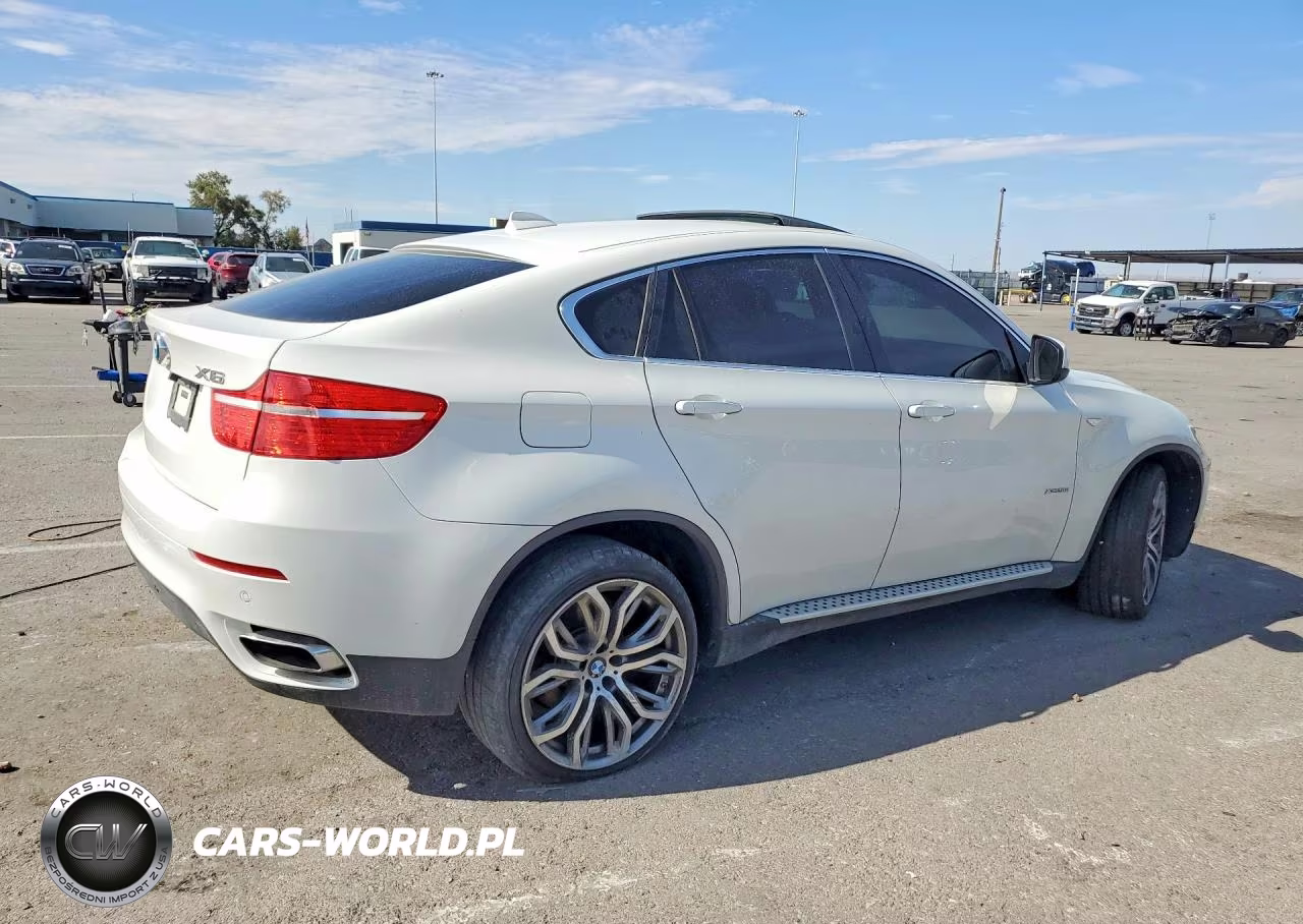 2011 BMW X6 xDrive50I VIN:5UXFG8C5XBLZ96774 - 3
