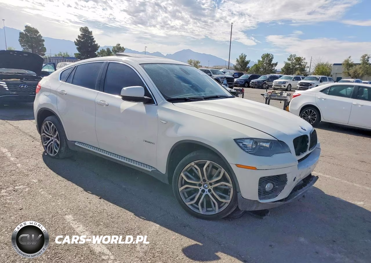 2011 BMW X6 xDrive50I VIN:5UXFG8C5XBLZ96774 - 4