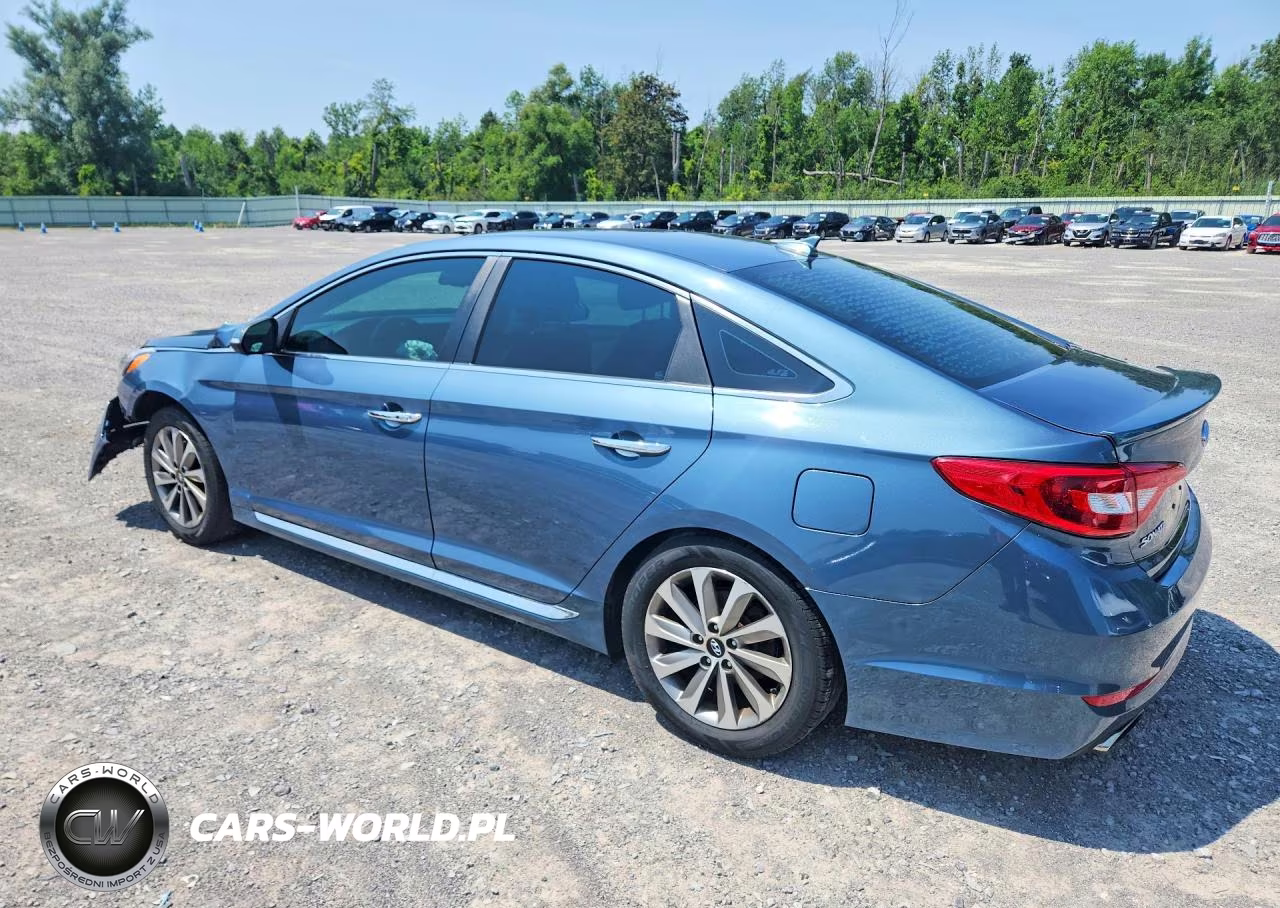 2015 Hyundai Sonata Sport VIN:5NPE34AF8FH235801 - 2