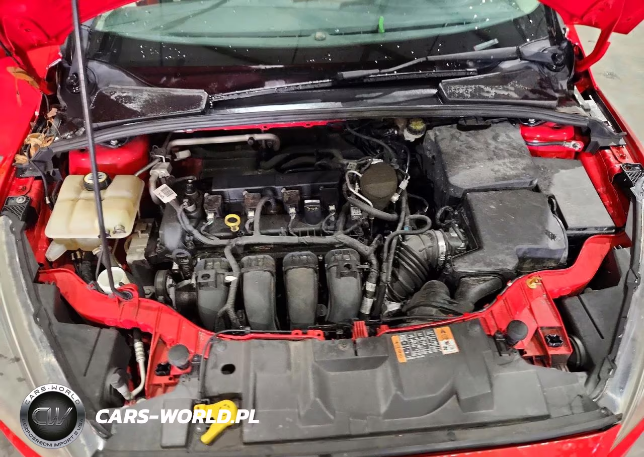 2016 Ford Focus Se VIN:1FADP3K23GL264003 - 11