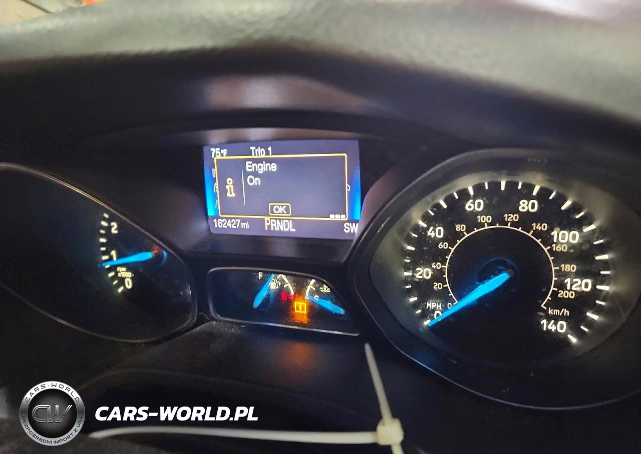 2016 Ford Focus Se VIN:1FADP3K23GL264003 - 9