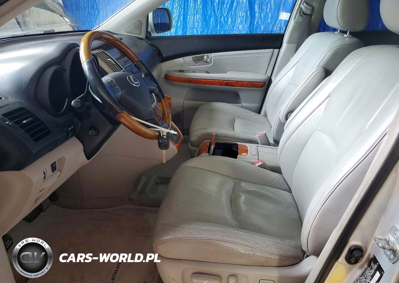 2004 Lexus Rx 330 VIN:2T2HA31U04C029394 - 7