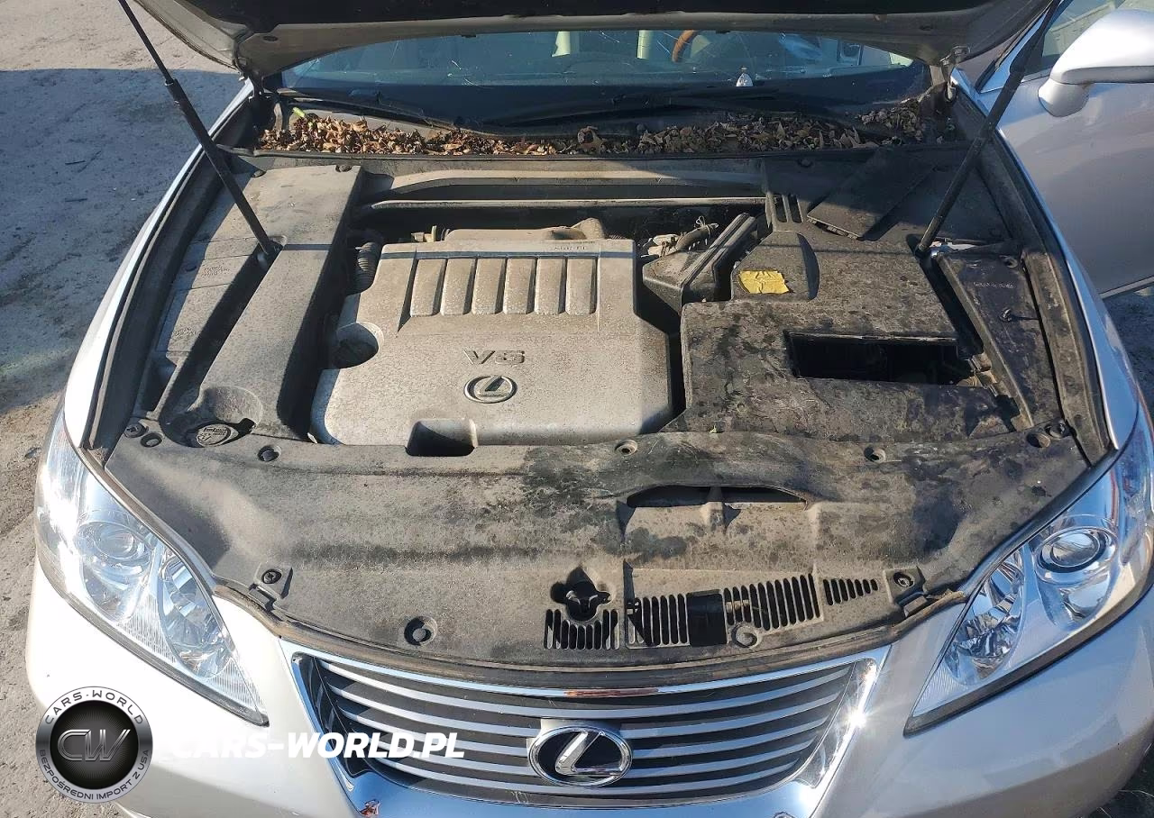 2009 Lexus Es 350 VIN:JTHBJ46G392336016 - 11