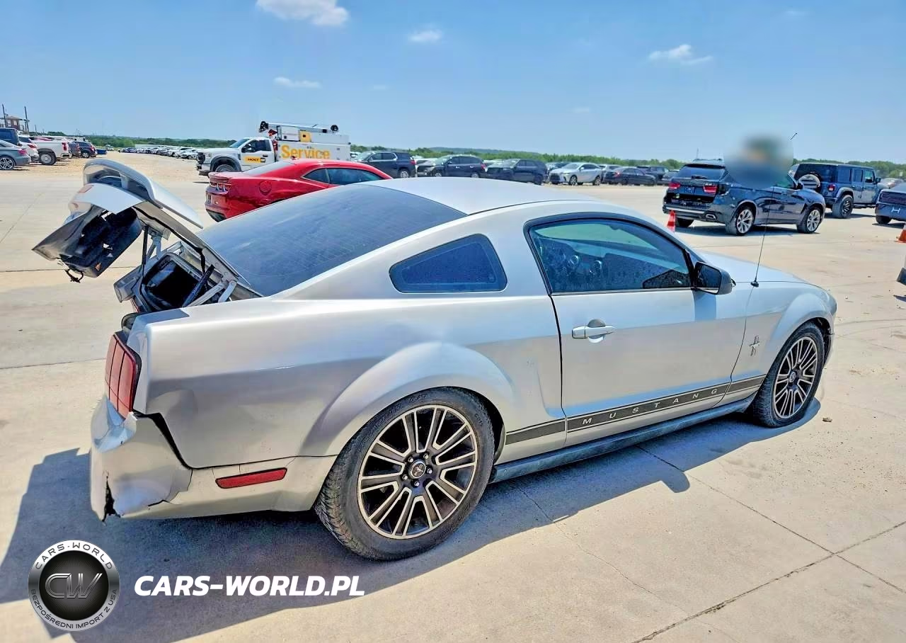 2006 Ford Mustang VIN:1ZVFT80N765136386 - 3