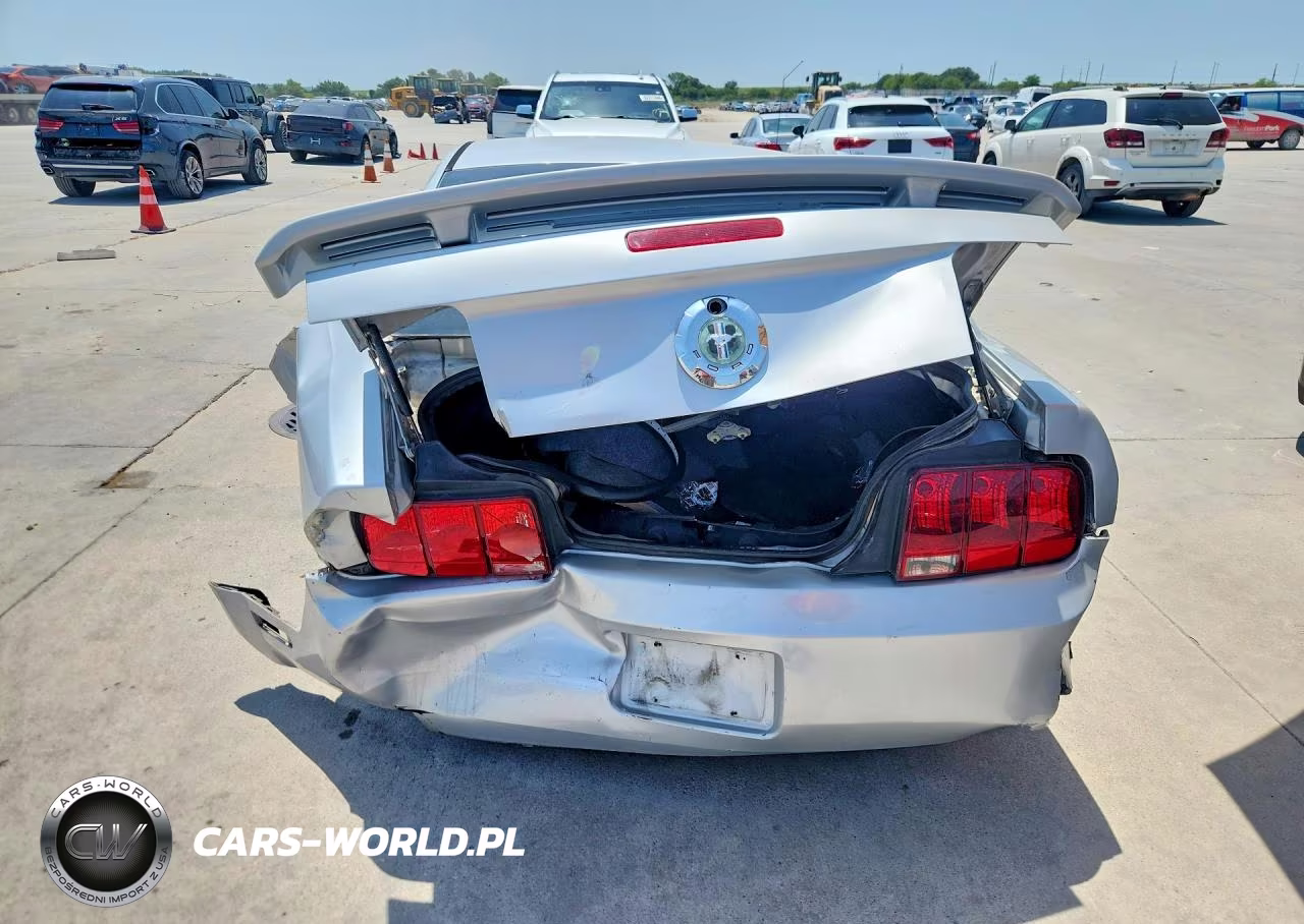 2006 Ford Mustang VIN:1ZVFT80N765136386 - 6
