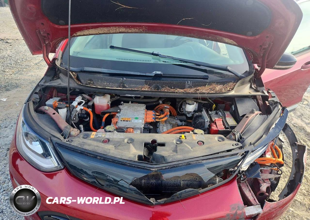 2017 Chevrolet Bolt Ev Lt VIN:1G1FW6S07H4132226 - 11
