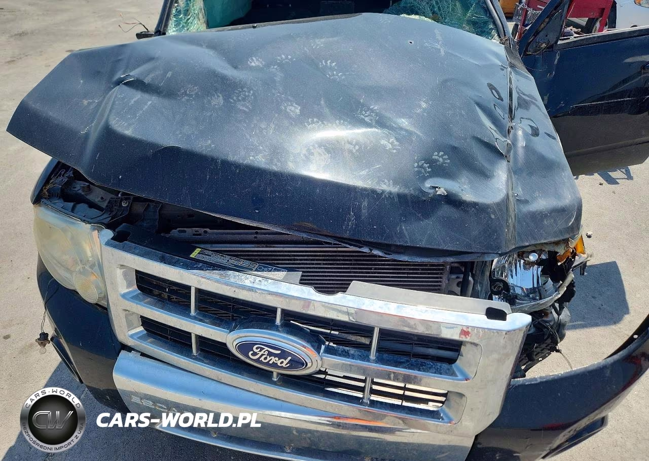 2011 Ford Escape Limited VIN:1FMCU0E71BKC22721 - 11