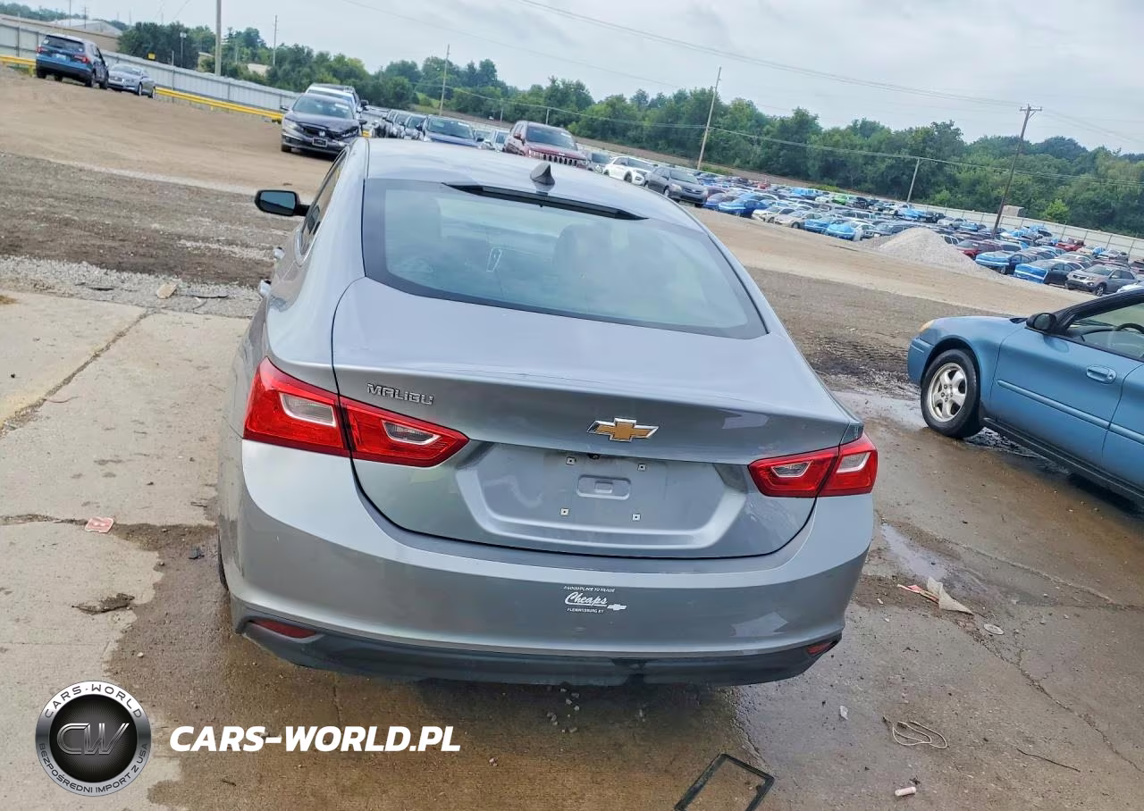 2023 Chevrolet Malibu Ls VIN:1G1ZB5ST4PF252498 - 6