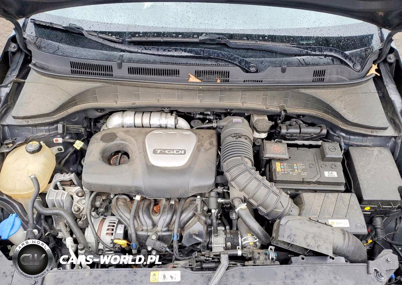2021 Hyundai Kona Limited VIN:KM8K3CA53MU745928 - 12