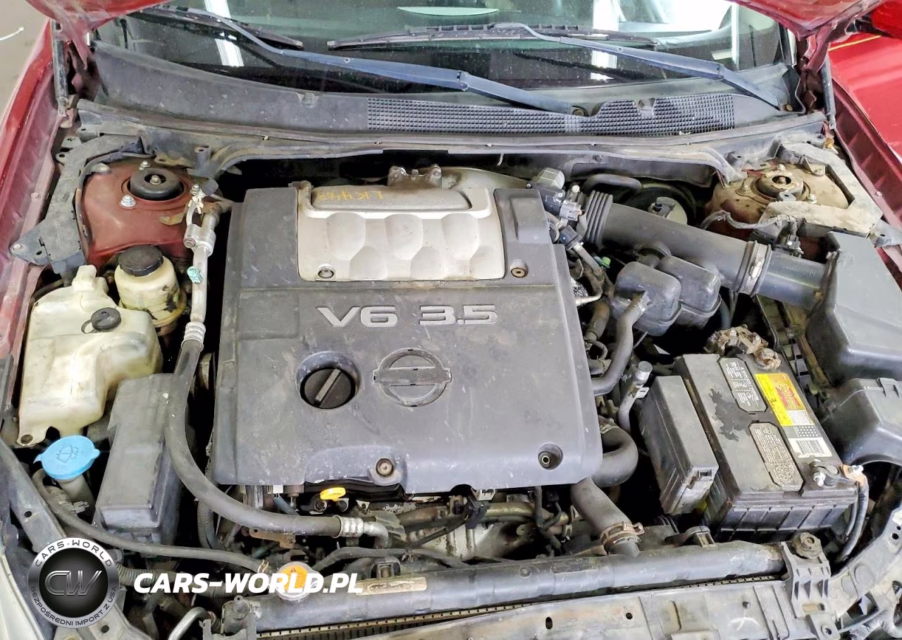 2005 Nissan Maxima 3.5 Se VIN:1N4BA41E45C862799 - 11