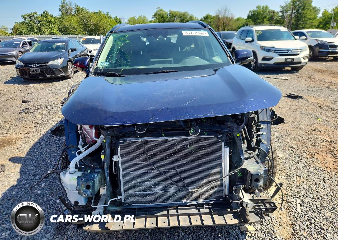 2019 Toyota Rav4 Xle VIN:2T3P1RFV9KW008549 - 5