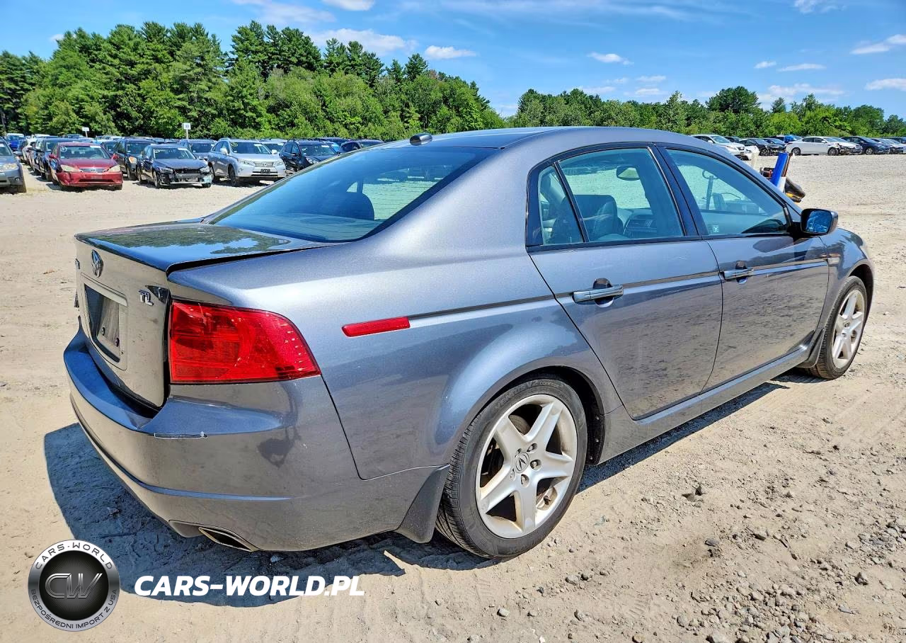 2004 Acura Tl VIN:19UUA66264A047528 - 3