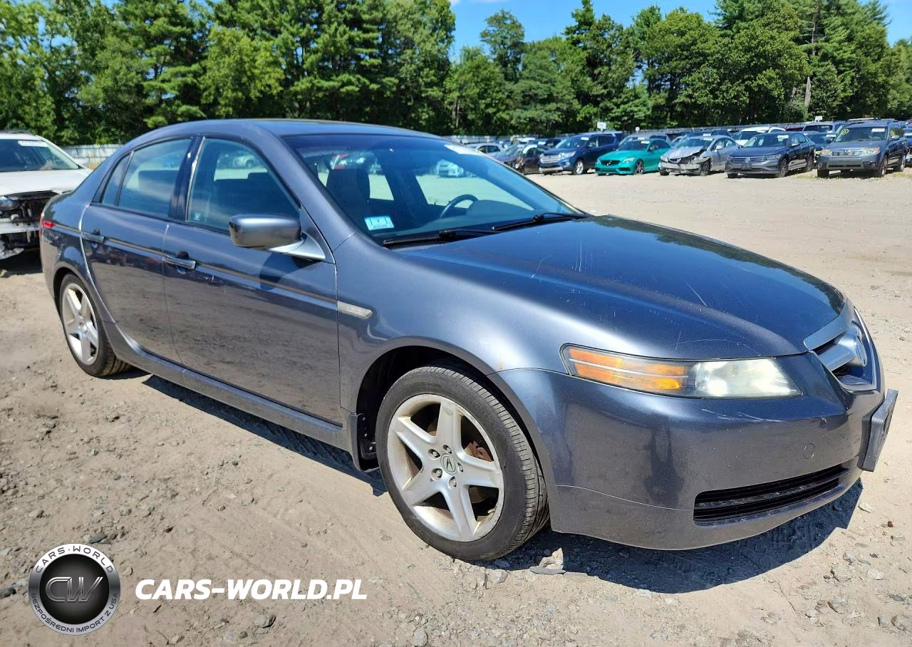 2004 Acura Tl VIN:19UUA66264A047528 - 4