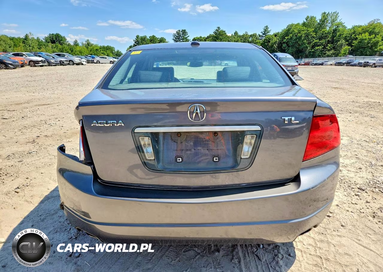 2004 Acura Tl VIN:19UUA66264A047528 - 6