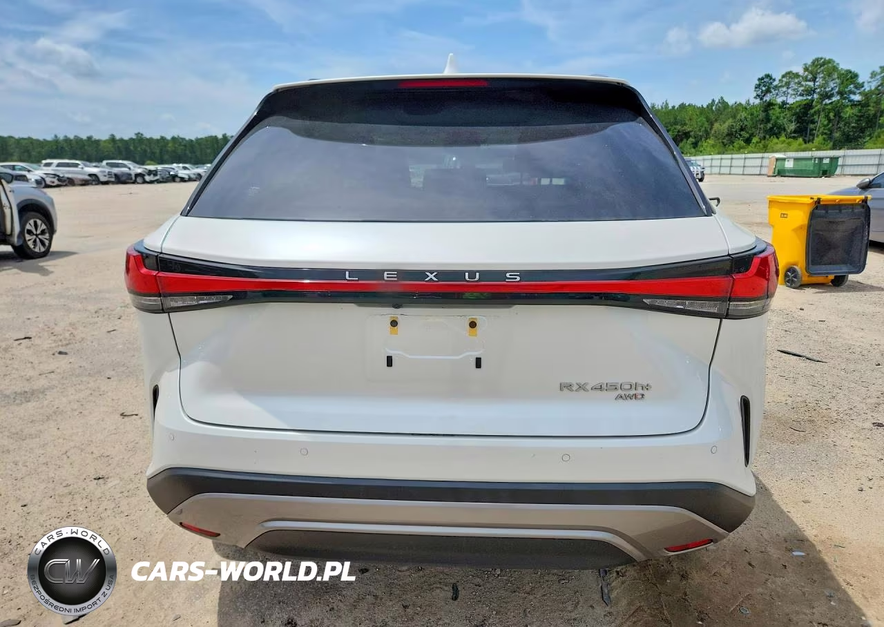 2024 Lexus Rx 450H+ Luxury VIN:JTJCJMGA2R2019227 - 6