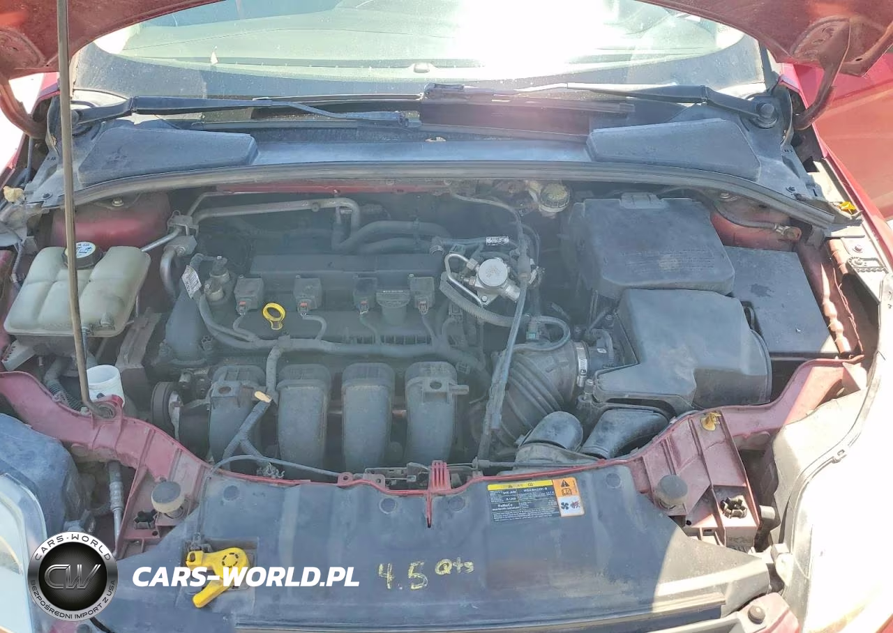 2013 Ford Focus Se VIN:1FADP3F22DL338033 - 11