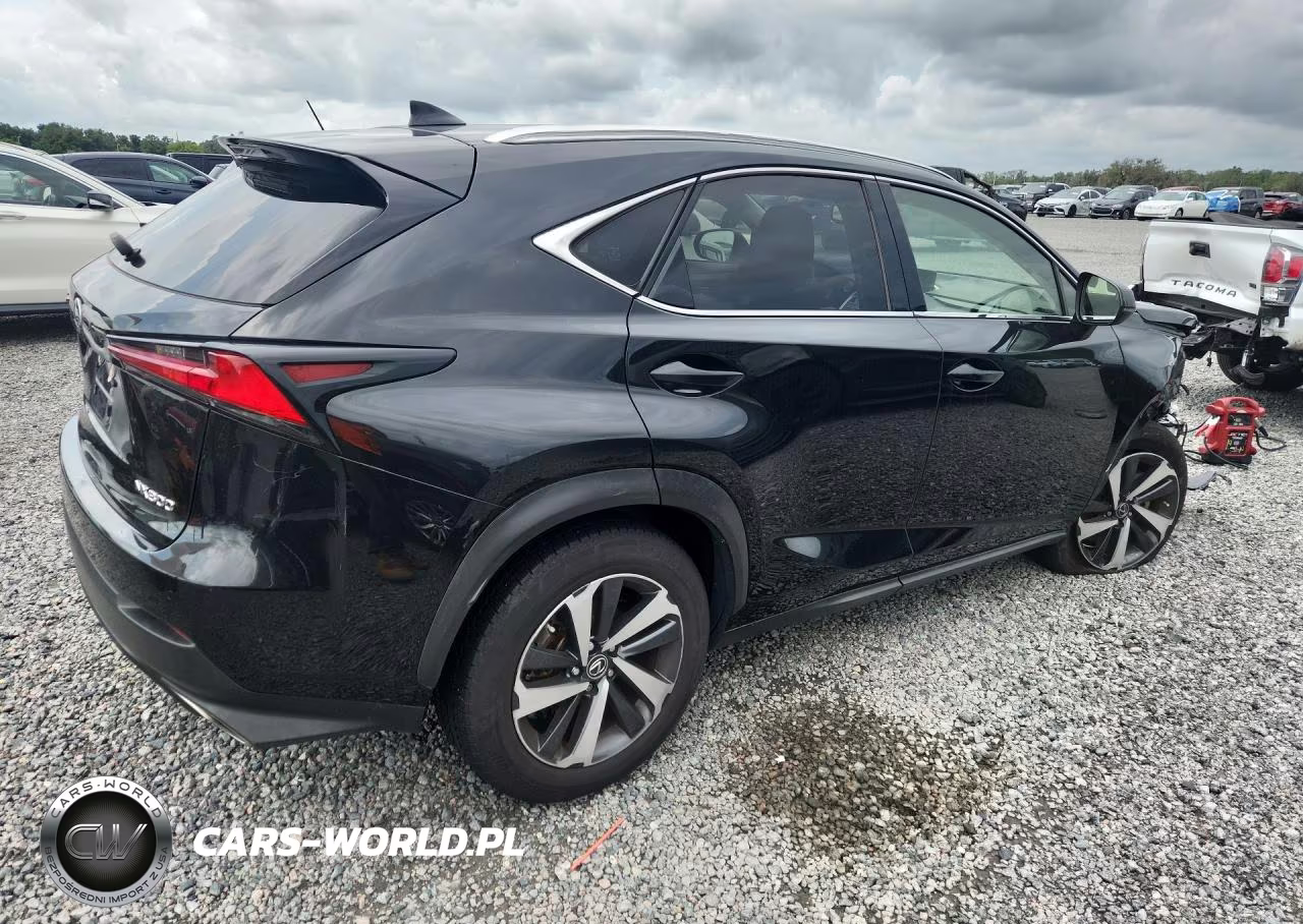 2021 Lexus Nx 300 Base VIN:JTJGARBZ7M2183206 - 3