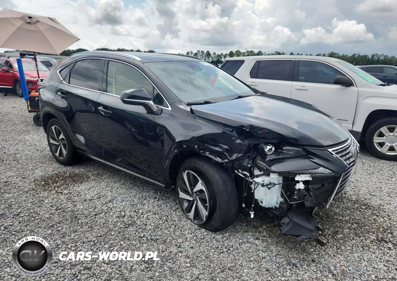 2021 Lexus Nx 300 Base VIN:JTJGARBZ7M2183206 - 4