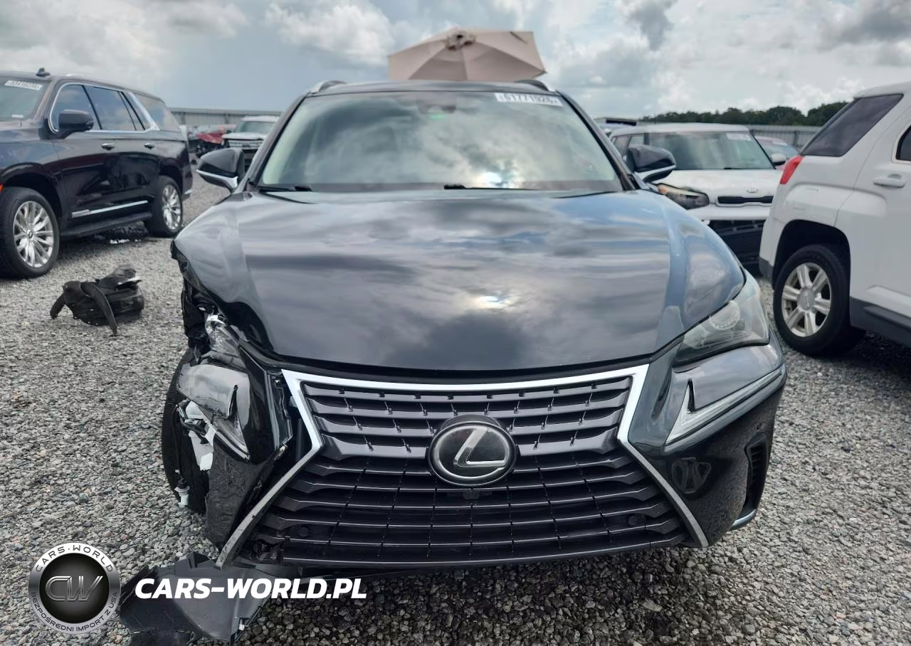 2021 Lexus Nx 300 Base VIN:JTJGARBZ7M2183206 - 5