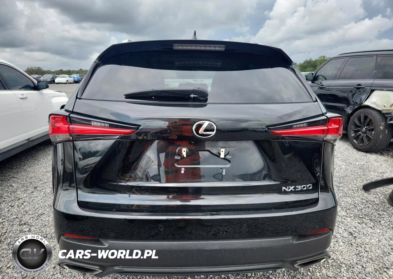 2021 Lexus Nx 300 Base VIN:JTJGARBZ7M2183206 - 6