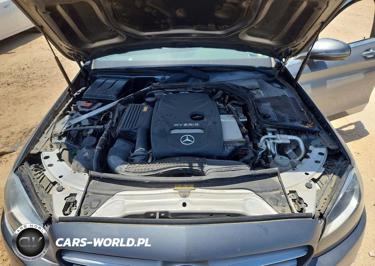 2017 Mercedes-Benz C 350E VIN:55SWF4HB2HU230110 - 11