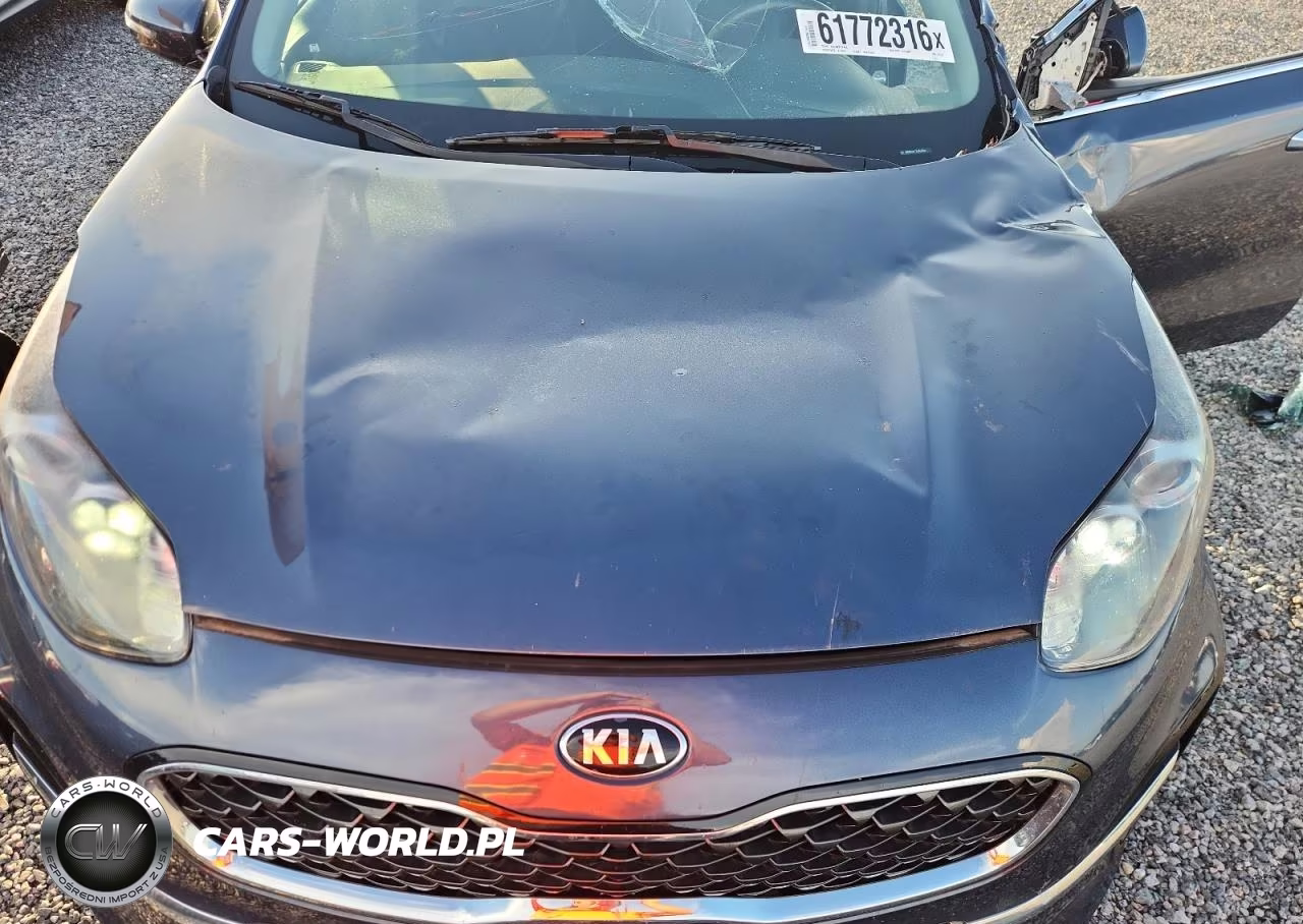 2021 Kia Sportage Ex VIN:KNDPN3AC0M7876557 - 12