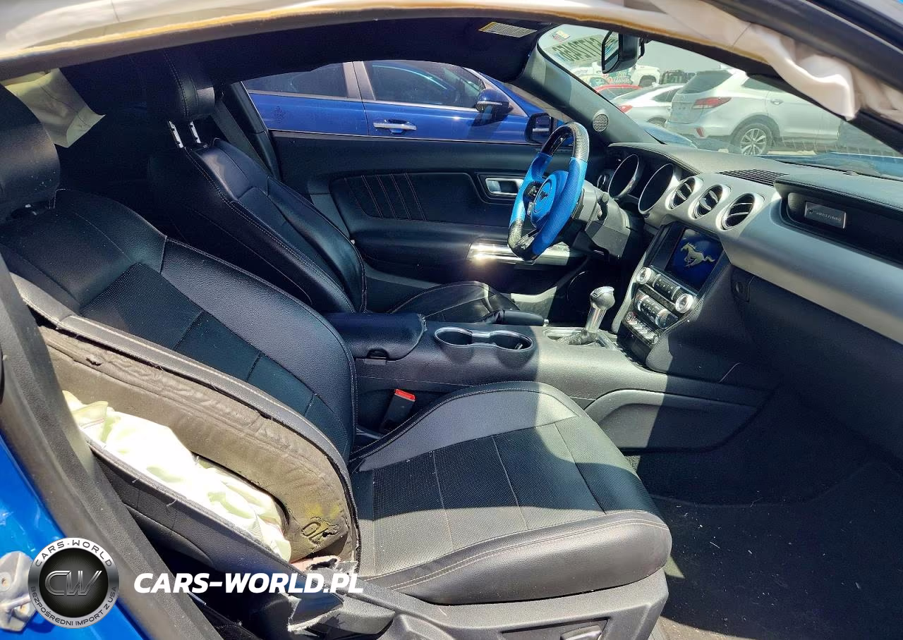 2019 Ford Mustang Gt Premium VIN:1FA6P8CF5K5200341 - 10