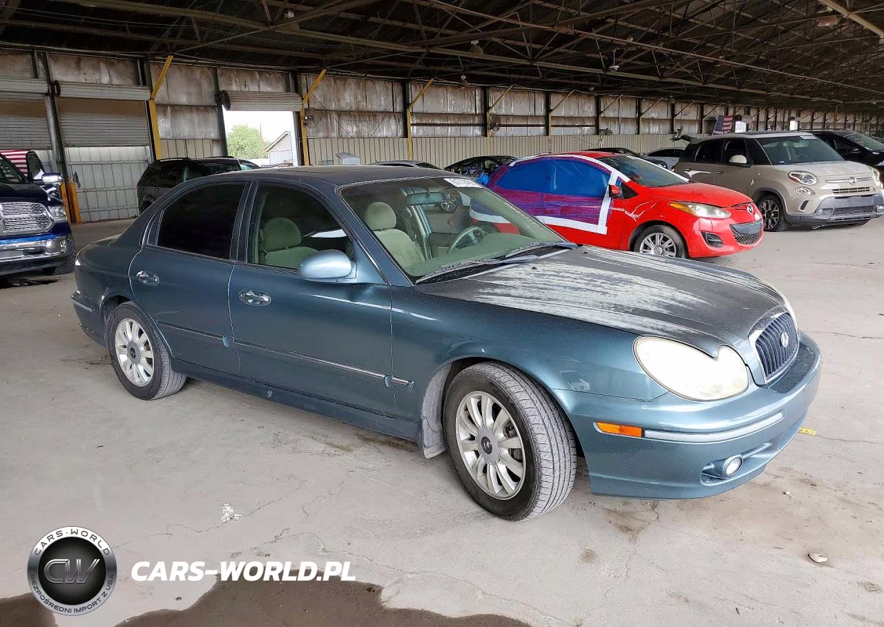 2004 Hyundai Sonata Gls VIN:KMHWF35HX4A024553 - 4