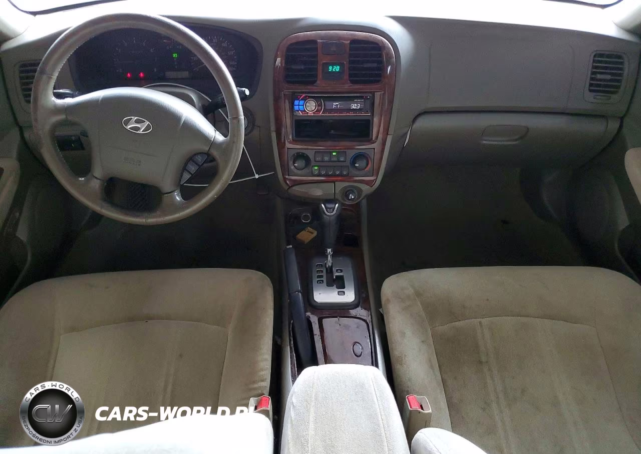 2004 Hyundai Sonata Gls VIN:KMHWF35HX4A024553 - 8