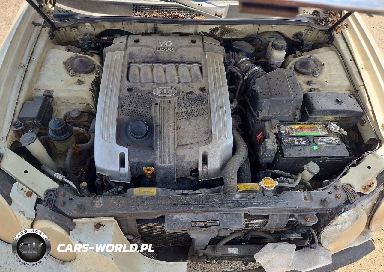 2004 Kia Amanti Base VIN:KNALD124345031210 - 11